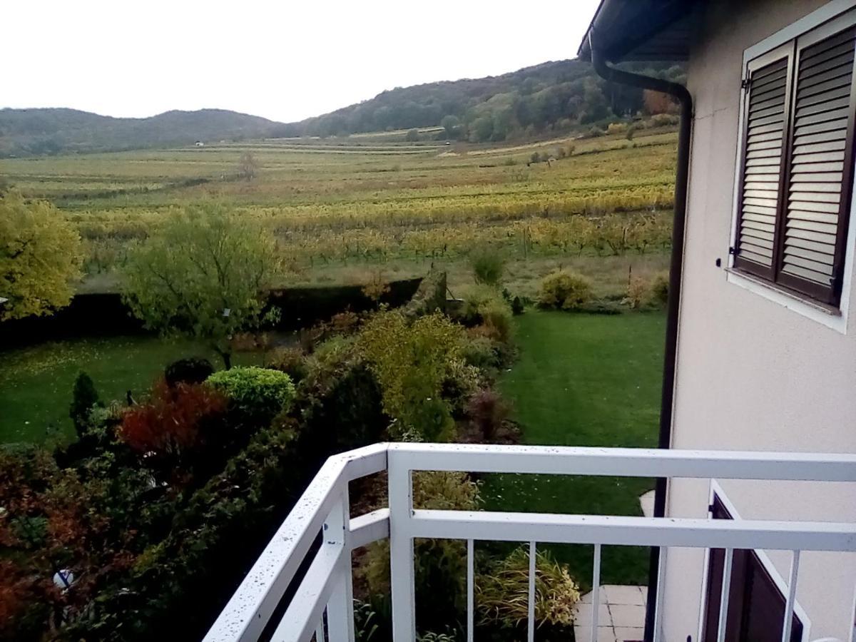 Top Over Vienna, Perchtoldsdorf Weinberge Ideal With Car公寓 外观 照片