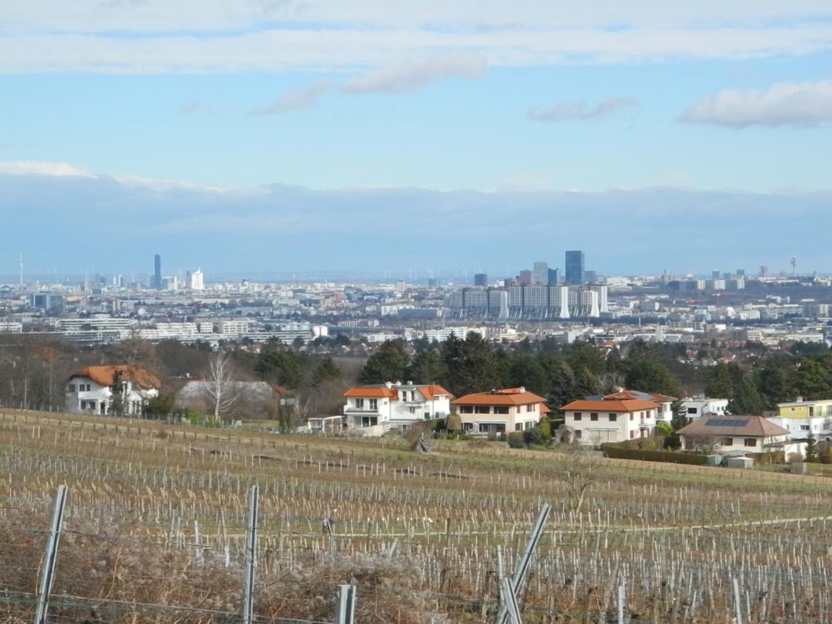 Top Over Vienna, Perchtoldsdorf Weinberge Ideal With Car公寓 外观 照片