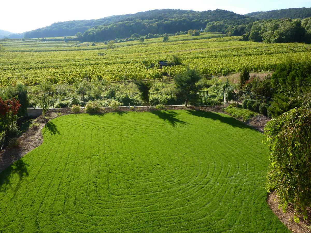 Top Over Vienna, Perchtoldsdorf Weinberge Ideal With Car公寓 外观 照片