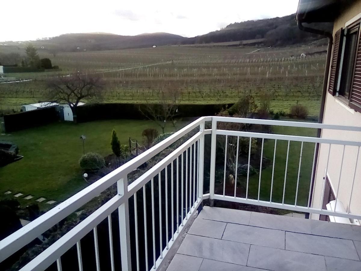 Top Over Vienna, Perchtoldsdorf Weinberge Ideal With Car公寓 外观 照片